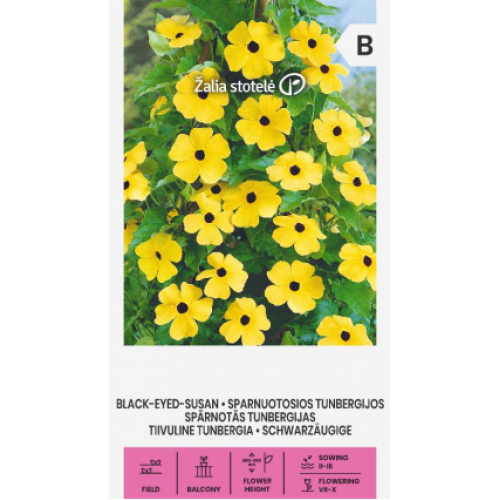 Тунбергия Чернооката Сюзън / Thunbergia alata Bojer ex Sims Black eyed Susan
