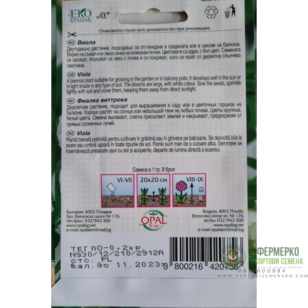 Виола Бяла Viola x wittrockiana