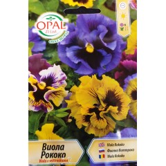 Виола Рококо Viola x wittroskiana