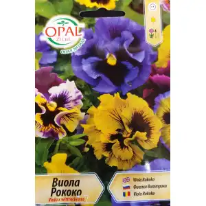 Виола Рококо / Viola x wittroskiana