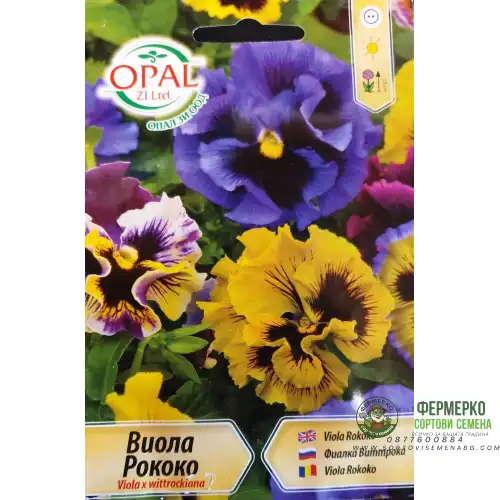 Виола Рококо / Viola x wittroskiana