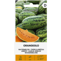 Диня Портокалова Орангело / Solanum melongena L.