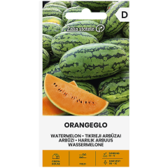 Диня Портокалова Оранжело Solanum melongena L.