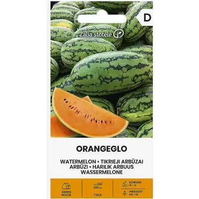 Диня Портокалова Орангело / Solanum melongena L.