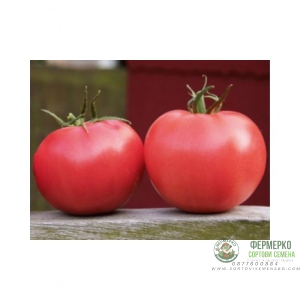 Домати Афен F1