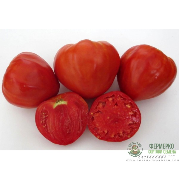 Домати Алено сърце - много едри с уникален вкус (30 бр. семена)