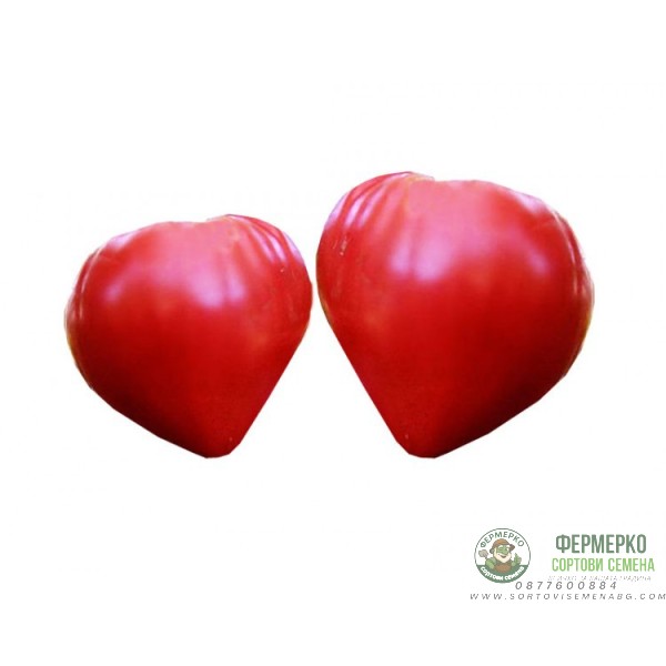 Домати Алено сърце - много едри с уникален вкус (30 бр. семена)