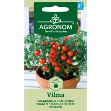 Домат Балконски Вилма Vilma