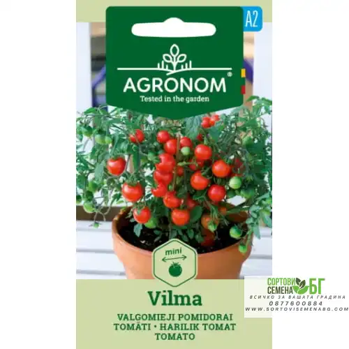 Домат Балконски Вилма (джудже) / Vilma Домат Балконски Вилма (джудже) / Vilma