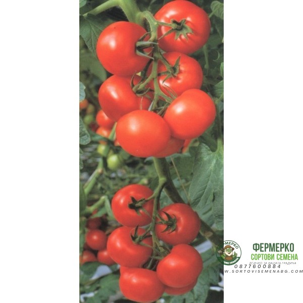 Домати Балкан F1