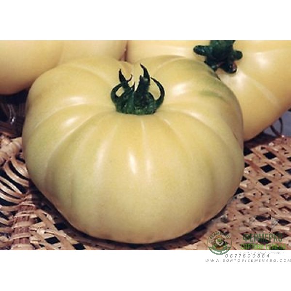 Домат Уайт бийфстек