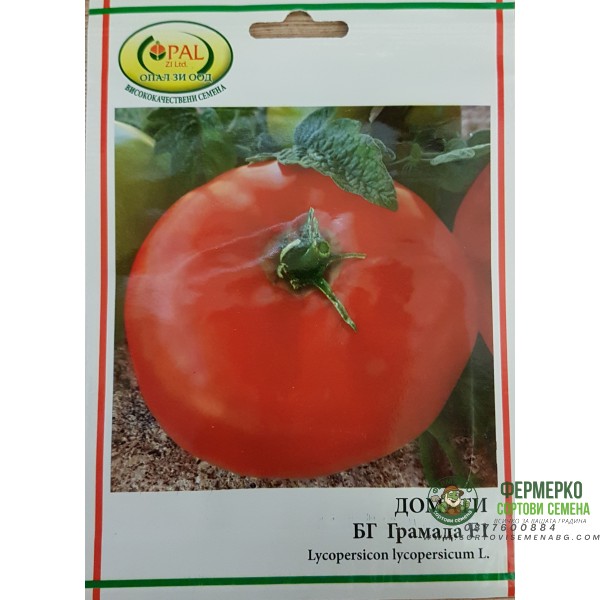 Домат БГ Грамада F1 - нов български сорт