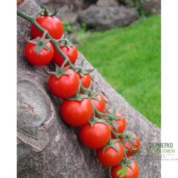 Чери домати червени
