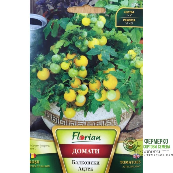 Домат Балконски сорт Ацтек - НОВ СОРТ