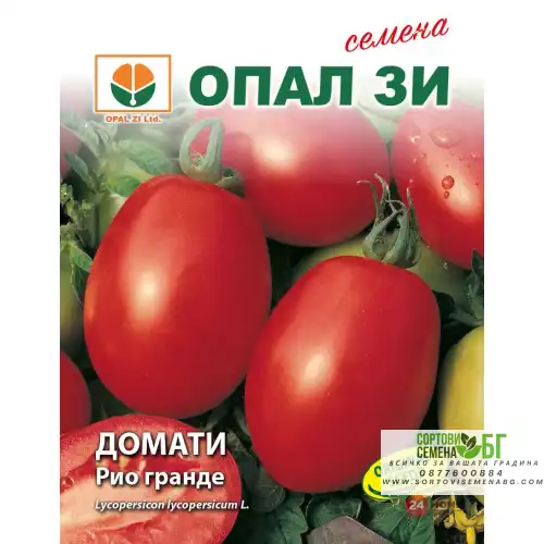 Домат Рио Гранде