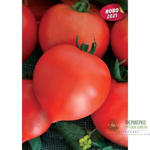 Домат Темпос F1 - НОВ СОРТ Домат Темпос F1 - НОВ СОРТ