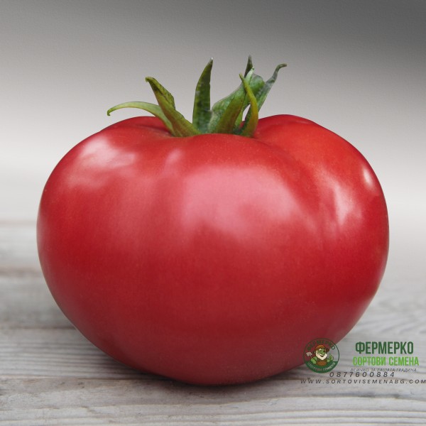 Домати Зерси F1