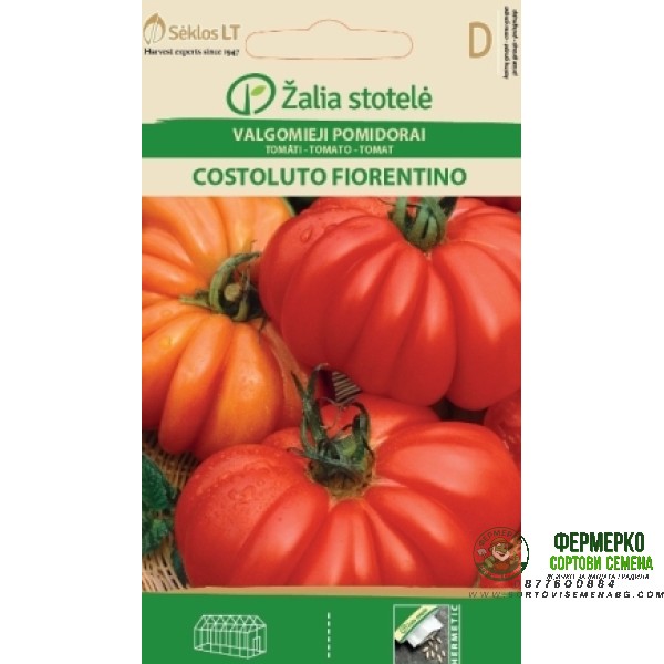 Домат Костолуто Фиорентино Costoluto Fiorentino