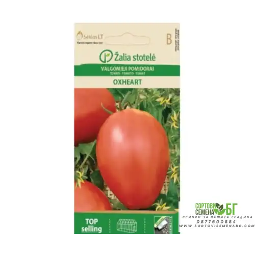 Домат сърце / Oxheart Домат сърце / Oxheart