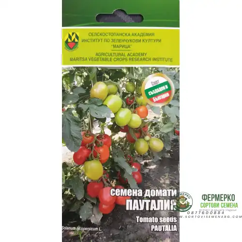 Домати Пауталия ИЗК Марица
