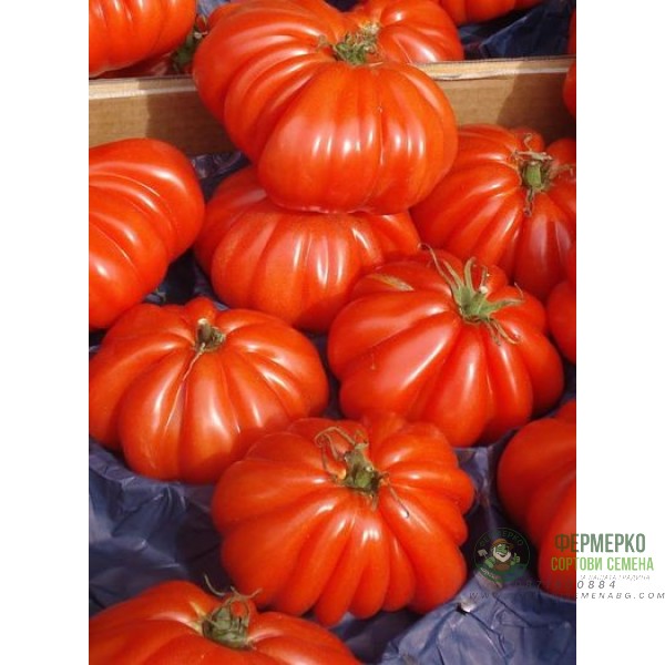 Домат Марманд