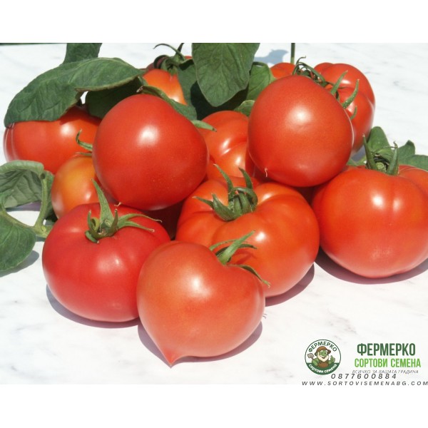 Домати Прекос F1