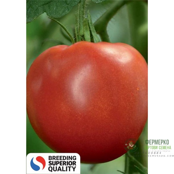 Домати Медено сърце F1