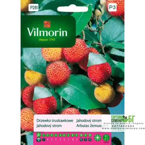 Семена за Ягодово дърво