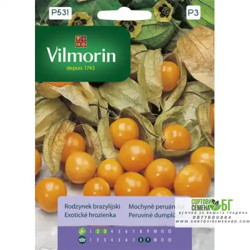 Физалисът (Physalis peruviana)