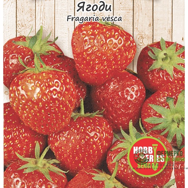Семена за Ягоди Fragaria vesca