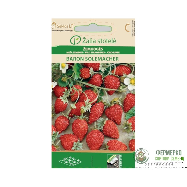 Ягоди Барон Солемахер Fragaria vesca Baron Solemacher