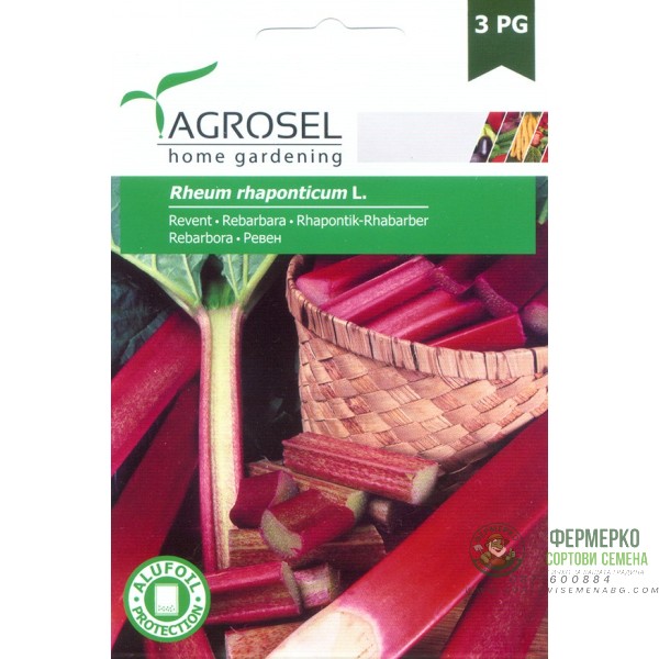 Ревен Rheum rhaponticum
