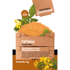 Горчица Sinapis alba