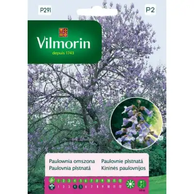 Пауловния Томентоса Императорско дърво