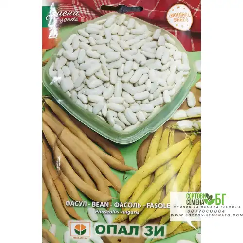 Фасул за зрял сорт Канелино Фасул за зрял сорт Канелино