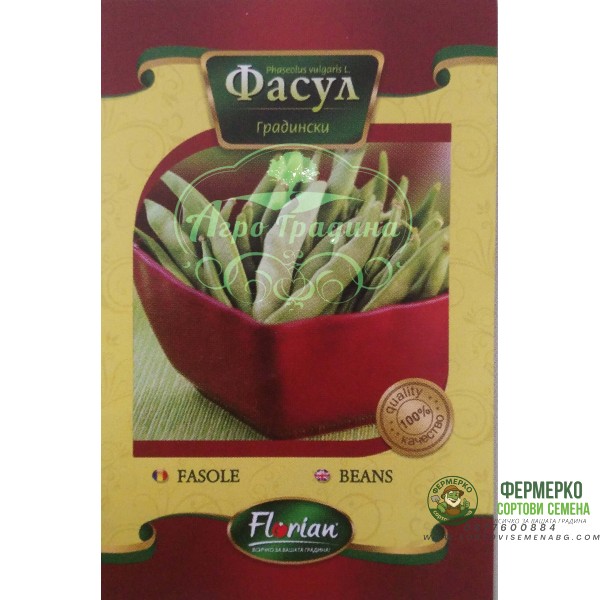 Фасул Джина - зелен, плосък, нисък