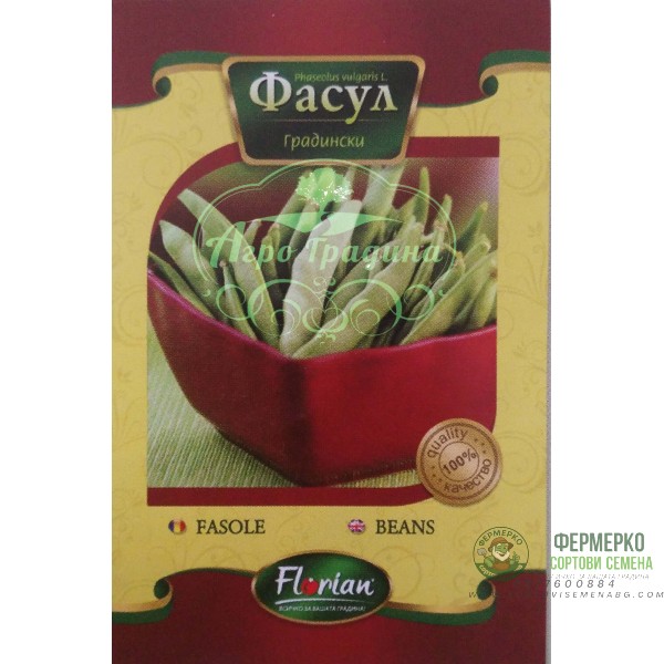Фасул Джина - зелен, плосък, нисък