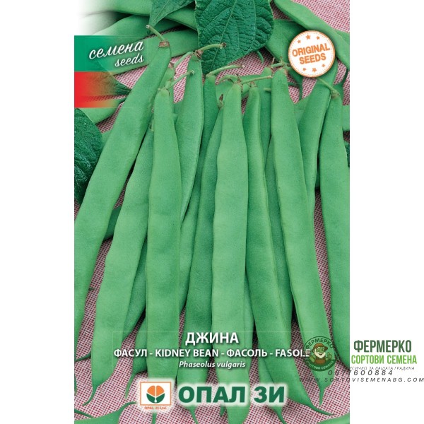 Фасул Джина - зелен, плосък, нисък