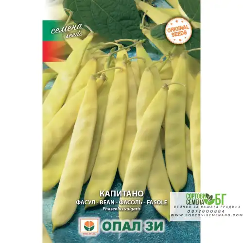 Фасул Капитано (жълт, плосък, нисък)
