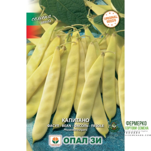 Фасул Капитано (жълт, плосък, нисък)