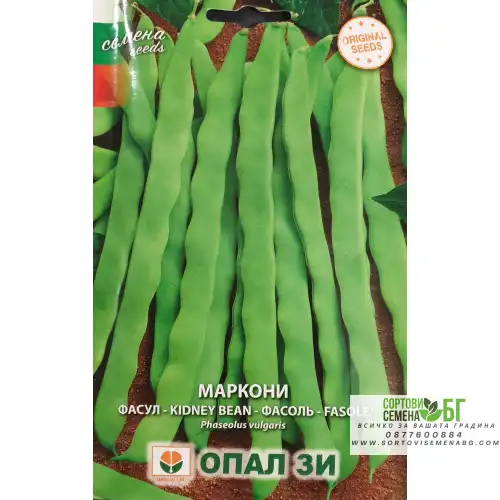Фасул Маркони (зелен, плосък, увивен)