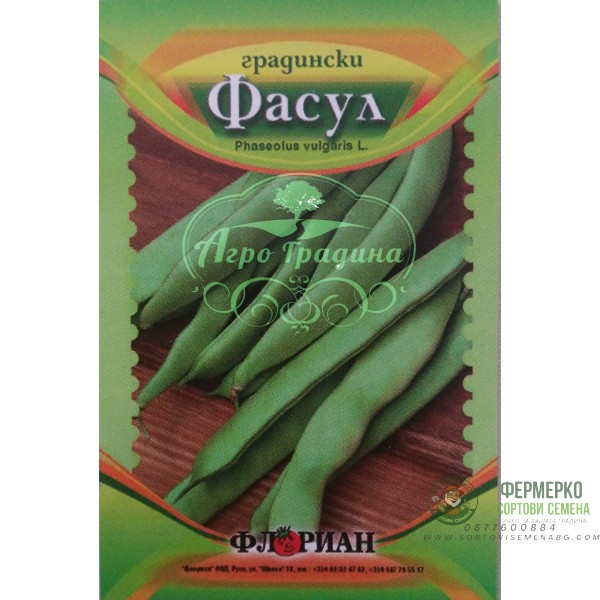 Фасул Маркони (зелен, плосък, увивен)