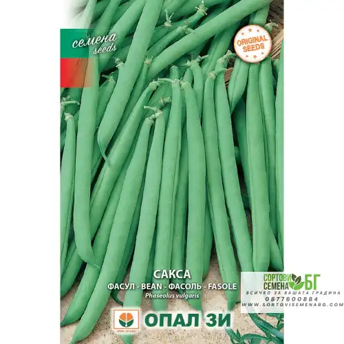 Фасул Сакса - зелен, кръгъл, нисък