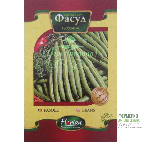 Фасул сорт Меси (зелен, цилиндричен, нисък)