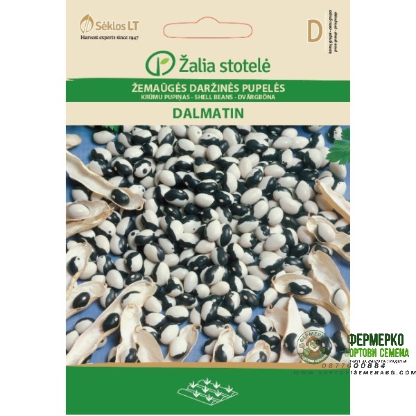 Фасул Далматин Dalmatin (храстовиден с шарено бяло-черно зърно)