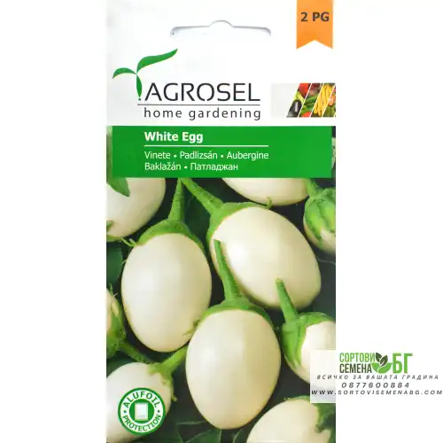 Патладжан бял (white egg)