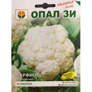 Карфиол Ерфурстско