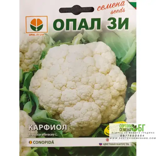 Карфиол Ерфурстско