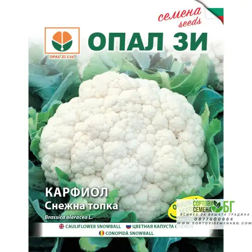 Карфиол Снежна топка