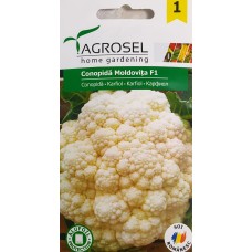 Карфиол Сноубол